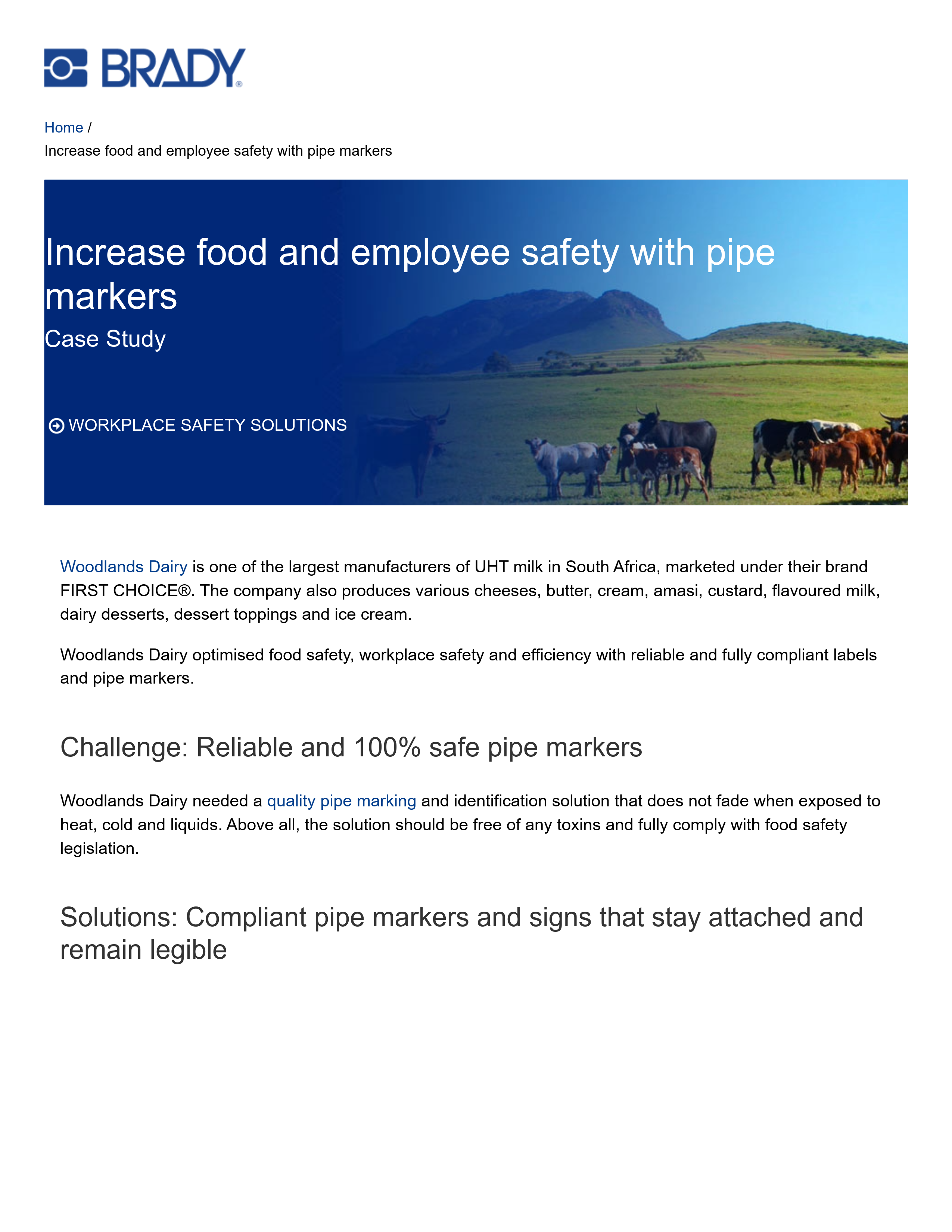 Brady Casey Study_Increase food and employee safety with pipe markers-1